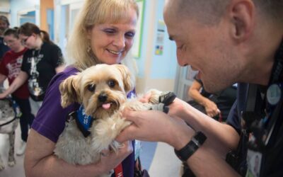 From Shelter to Service: The Journey of a Therapy Dog