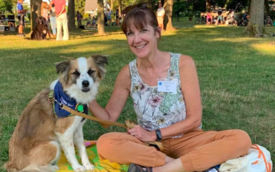 How Therapy Dogs Bring Comfort in Times of Crisis