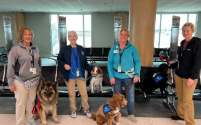 Therapy Dogs: Sharing Our Story with The Rapidian
